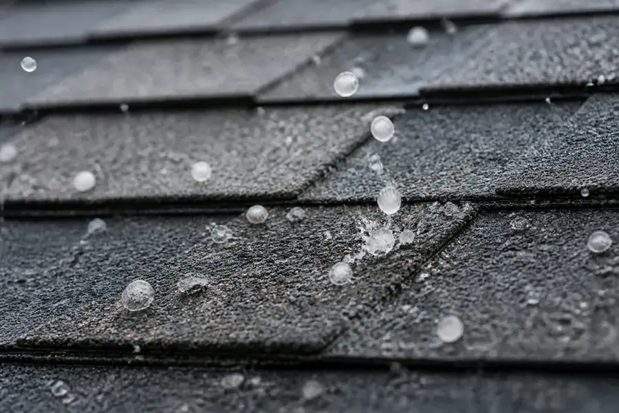 Hailstones on asphalt shingles, the kind of summer hail that leads to roof leaks in Commerce City