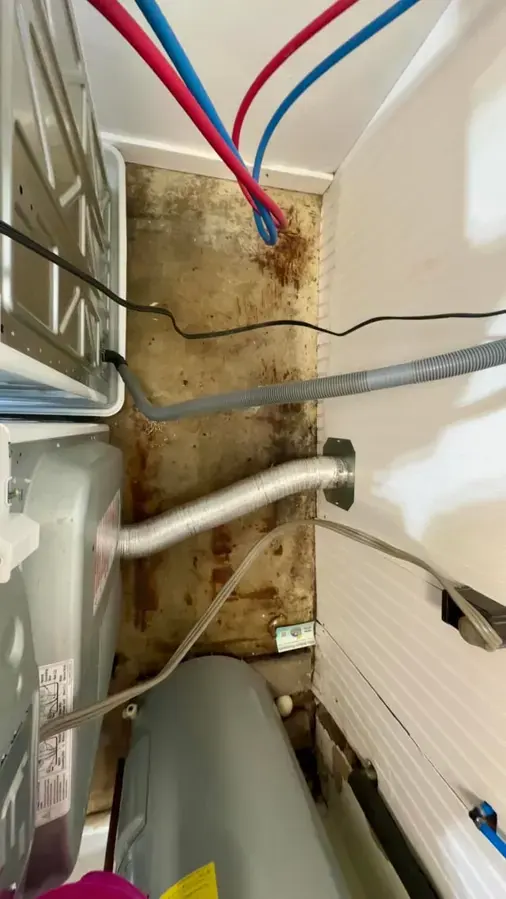 Appliance Leak Water Damage in Federal Heights, CO