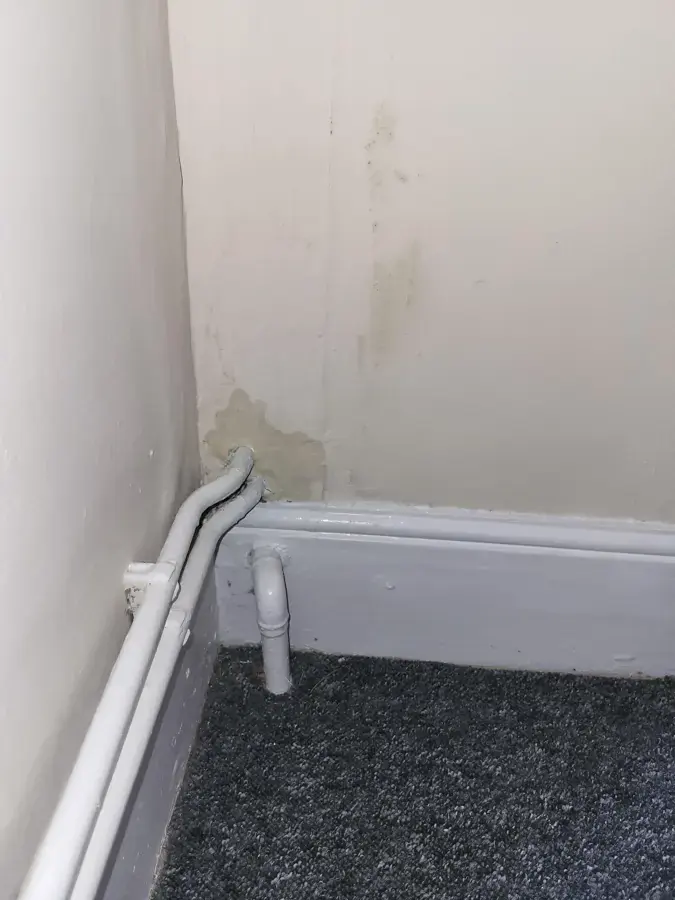 Water stain spreading up a wall above a supply pipe running along the baseboard