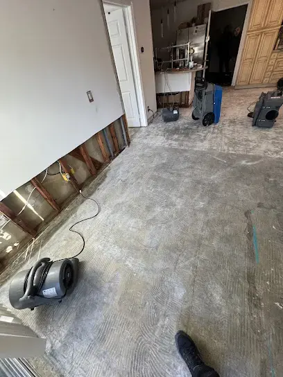 Structural Drying and Dehumidification in Federal Heights, CO